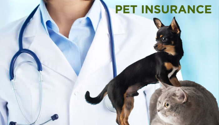 Is Pet Insurance Worth It? A Closer Look