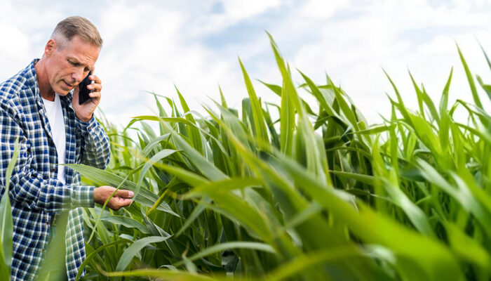 Farmers Insurance: Protecting Your Farm and Livelihood